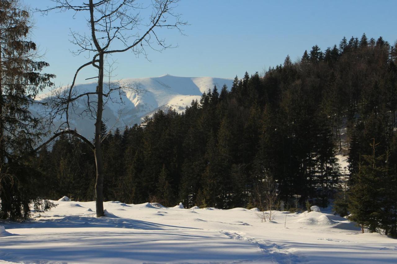 Chata Donovaly Buly 242/C Buitenkant foto